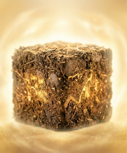 Élément de la terre